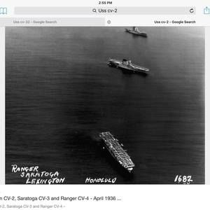 Meet your Posher, Owen